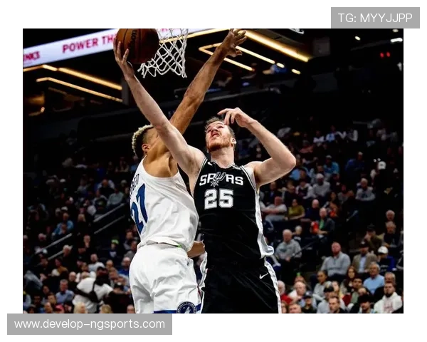 森林狼新赛季全面解析球队阵容战术潜力与冠军前景展望